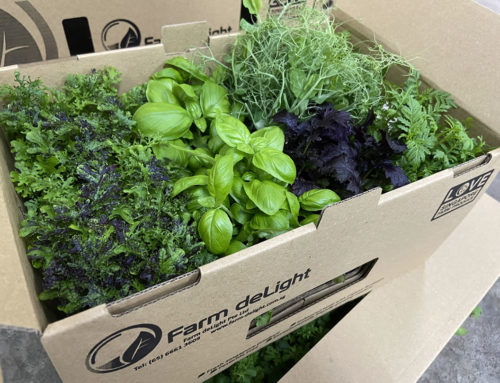 Farm Delight’s MicroGreens & MicroCress, Delivered to your Door Step